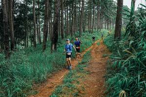 BIB: 
                            <button type="button" onclick="openModal(25657166)" class="btn btn-primary btn-sm float-right btn-popup" data-toggle="modal" data-target=".modal-high-quality">
                        <i class="fas fa-shopping-cart"></i> Add to Cart
                    </button>
                                            <button type="button" onclick="isThisMe(25657166, true)" class="btn btn-success btn-sm float-right btn-popup btn-isme hidden" data-toggle="tooltip" data-placement="bottom" title="นี่คือรูปของคุณใช่ไหม คลิกที่นี่เพื่อเอาเข้าอัลบั้ม">
                        <i class="fas fa-plus"></i> Add to album
                    </button>
                    <button type="button" onclick="isThisMe(25657166, false)" class="btn btn-warning btn-sm float-right btn-popup btn-isnotme hidden">
                        <i class="fas fa-ban"></i> Remove from album
                    </button>